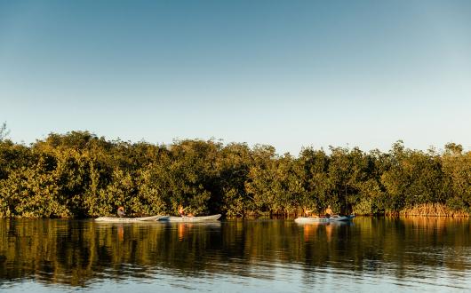 A kayak tour at Cocoa Beach presents a different side to Florida