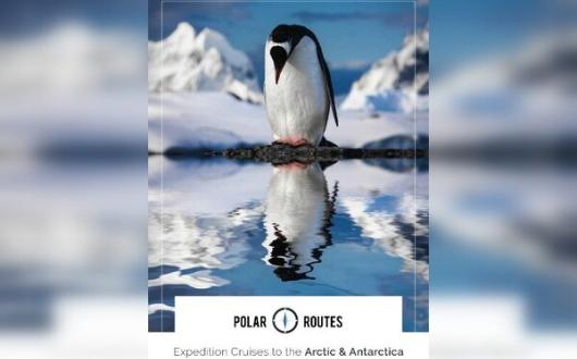 Polar_Routes_Brochure_February_2023.jpg