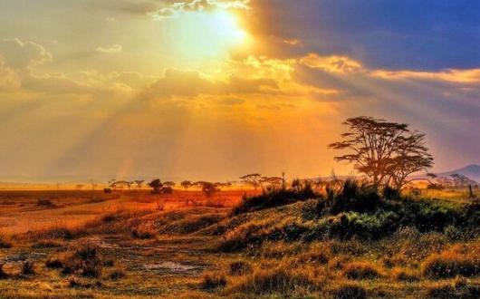 The Kruger National Park is one of Newmarket Holidays' Exclusive destinations (Credit: Newmarket Holidays)