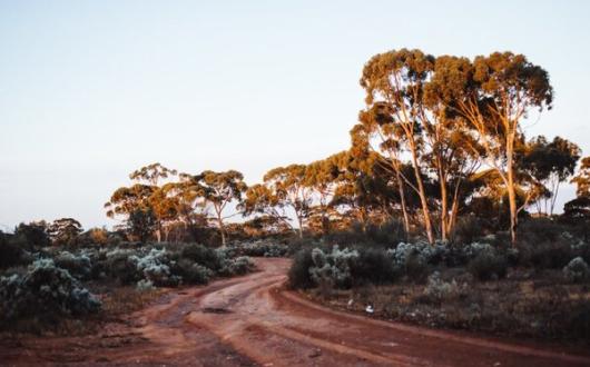 Bushfires trigger Australia's first emergency fire warning for two years