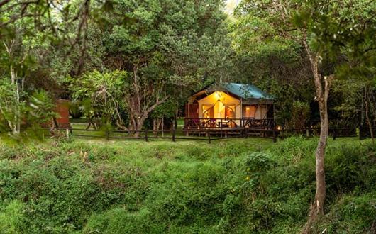 A Deluxe Tent at the Fairmont Mara Safari Club