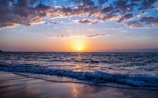 The Homeworker: 'Change is good – don't try to swim against it'