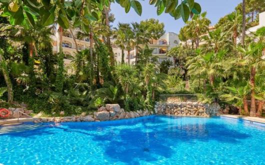 More than 500 agents apply to ‘rep’ for Classic Collection