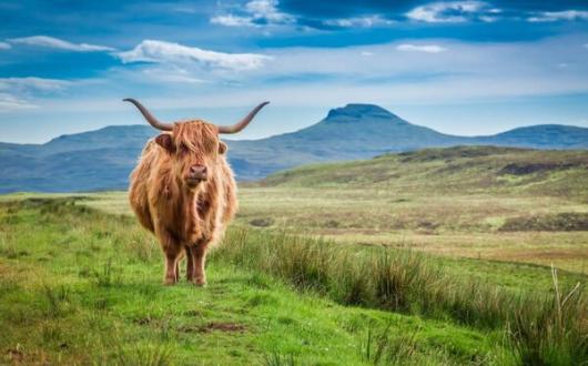 Home comforts: Could the cost of living squeeze drive a fresh staycation boom?