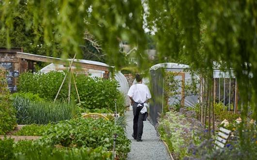 Kitchen gardens feature across The Pig's eight-strong portfolio
