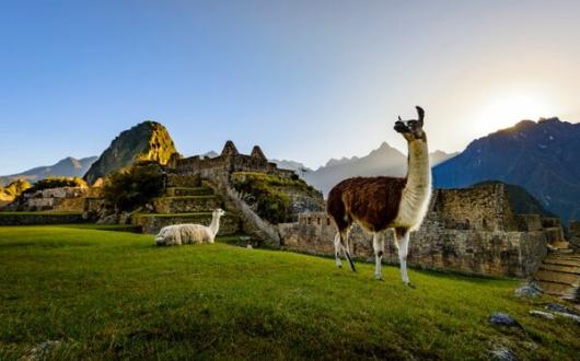 Peru is back, but what exactly has been going on there?