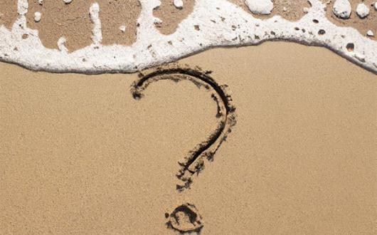 The essential insights you need to plan for peaks and get ahead in 2024