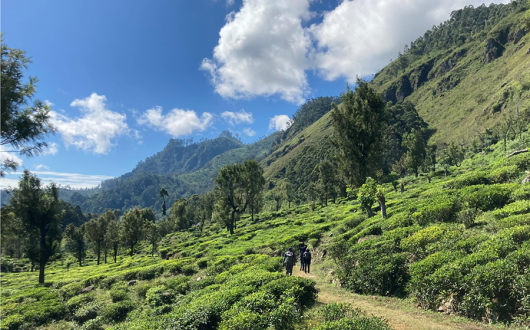 Pekoe Trail Sri Lanka
