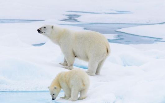 Untitled design (53).jpg