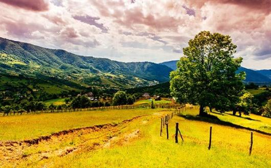 Carpathians, Ukraine