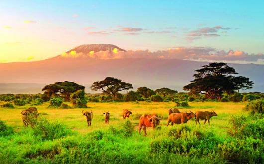 Tui to expand touring and multi-centre options for 2025