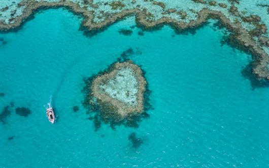 Heart Reef