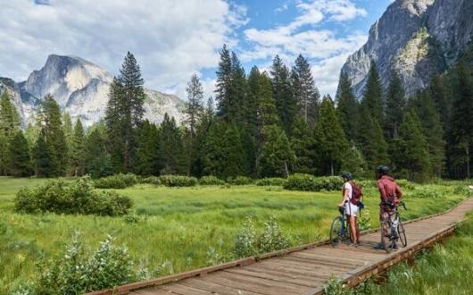 Yosemite_mountain_trees_bike_bicycle_biking_iStock-1326653507_1.jpg