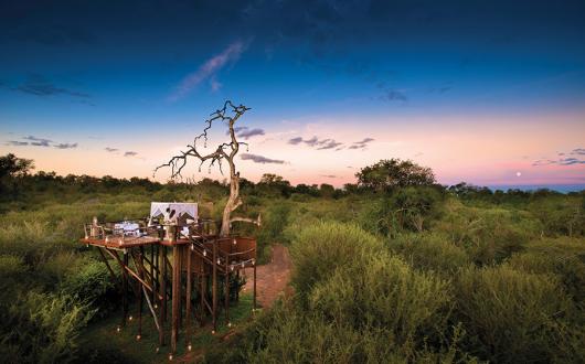 Chalkley Treehouse © Azure Collection