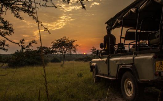Night_game_drive_-_Uganda.jpg