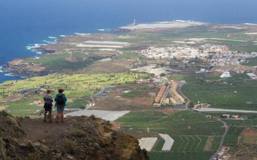 Pura_Aventura_spain_tenerife_el_palmarr_camino_de_risco_buen.jpg