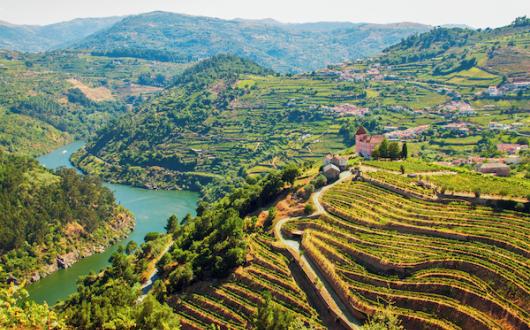OPO_Alto_Douro_wine_region_517197377_Getty_1123_01_RGB-136-D.jpg