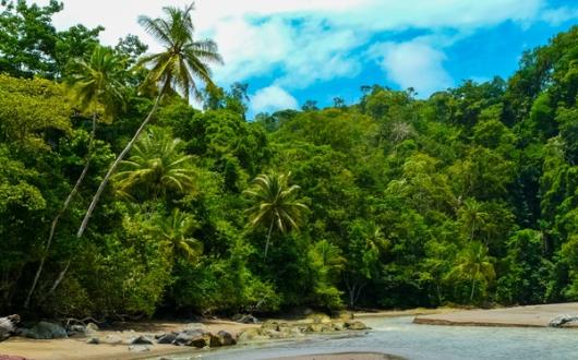 Osa Peninsula Costa Rica April 2024.jpg