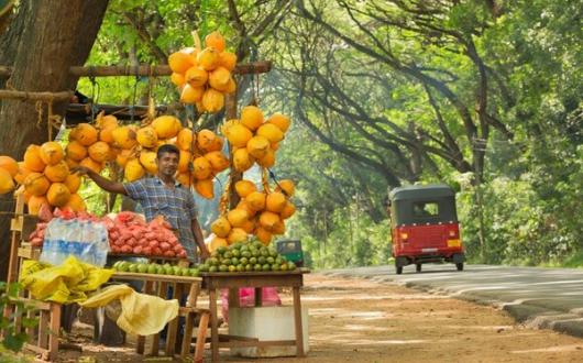 Sri_Lanka_iStock-503048318.jpg