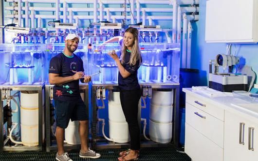 Iberostar’s Wave of Change programme supports coral nurseries