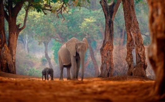 If Only expands southern Africa programme