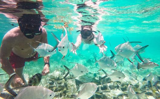 TUI Sea the Change Dominican Republic