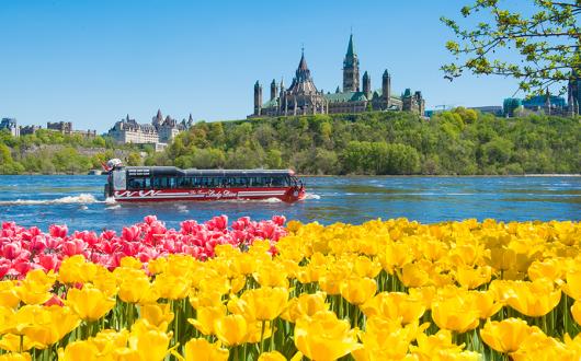Canadian Tulip Festival