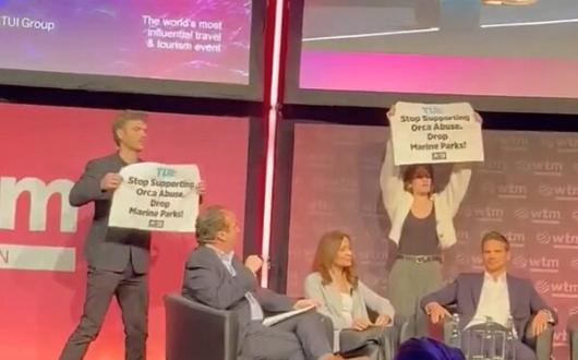 Video: Watch as Tui chief faces orca protest at WTM London
