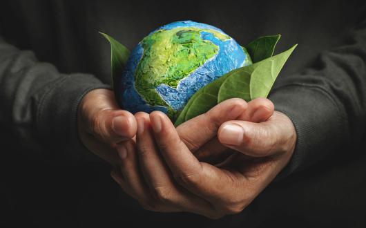 TTG Sustainable Travel Heroes survey Jan 25