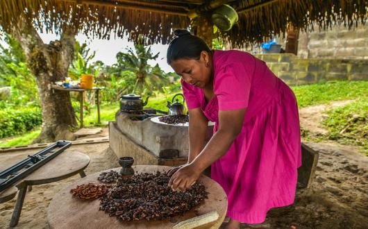 Six immersive experiences in ‘the world’s leading sustainable destination’