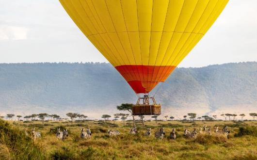 Captains_Choice_destination