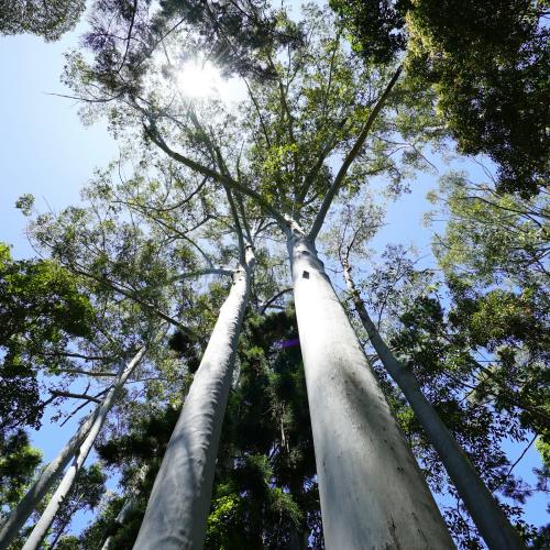 How to cut your carbon footprint