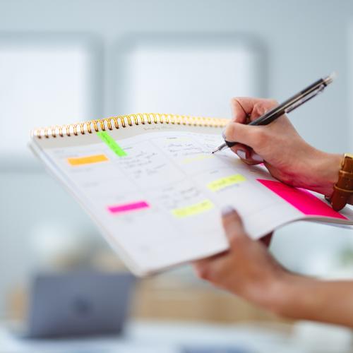 Organisation and productivity