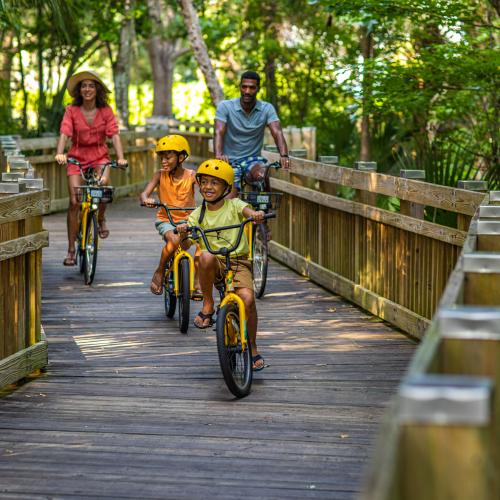 A family exploring in Florida