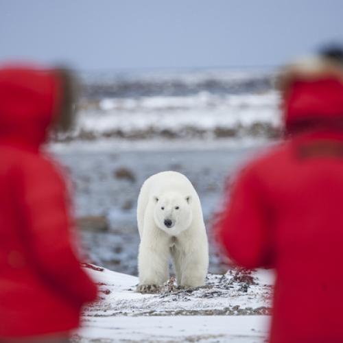 cf_polar_sep23_METhumb.jpg
