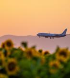 Aircraft coming into land