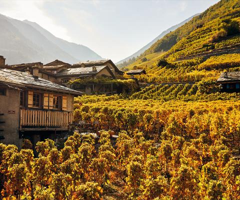 Switzerland - Martigny Combe Wine Region (Switzerland Tourism).jpg
