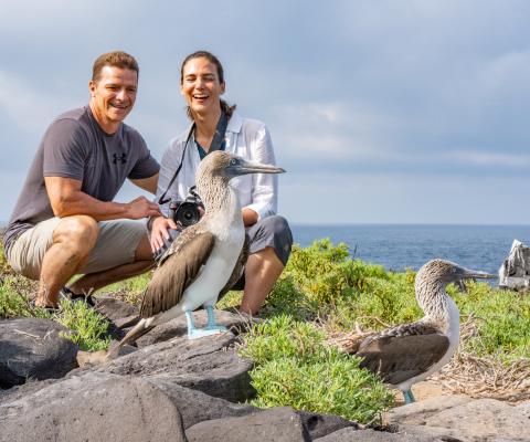 A couple crouched down behind a blue-footed booby on a beach