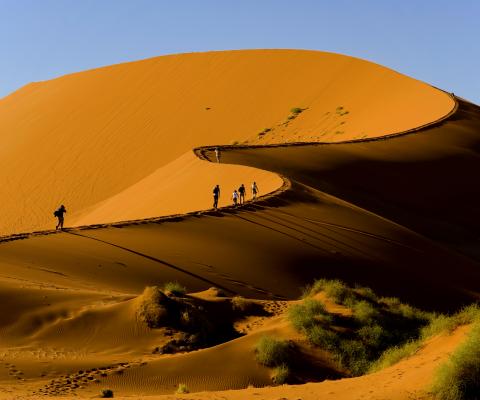 The winner can design a trip with Audley, to destinations including Namibia