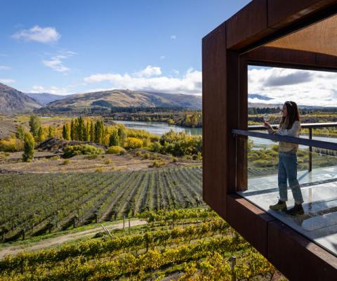 Woman sips on wine while looking over vineyard