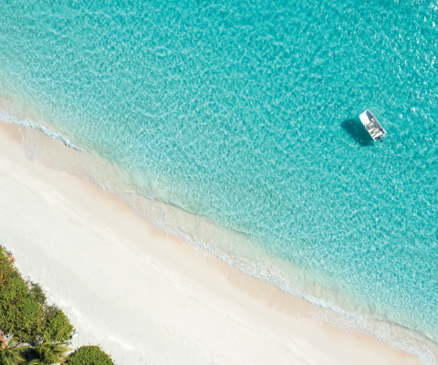 Drone photo of blue ocean water, white sand beach and trees