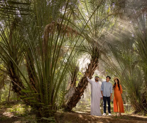 Exploring in Al Ain