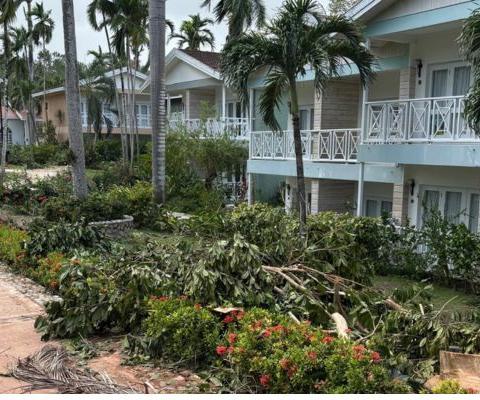 Fallen palm trees at Sandals Ochi after hurricane Melissa in Jamaica