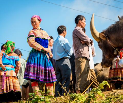 Intrepid has worked with the Da Bac community in Vietnam to create to create a number of authentic experiences for visitors to the area