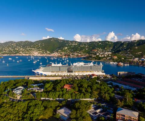 Princess Cruises ship surrounded by Caribbean setting, with blue ocean and tropical trees