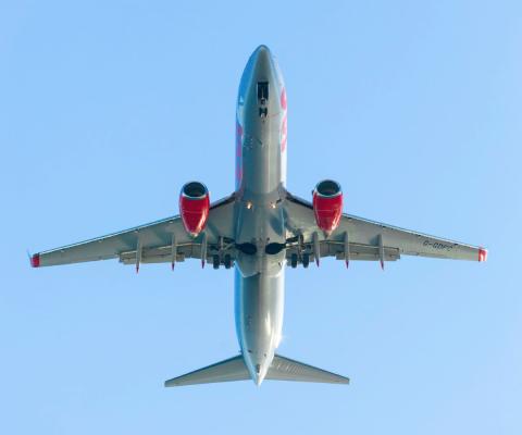 Credit: iStock / tulcarion