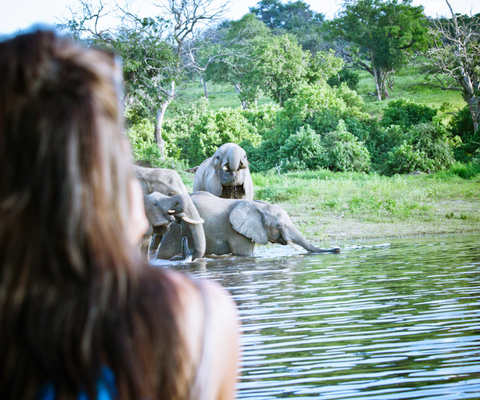 Safari goer exploring the Okavango Delta