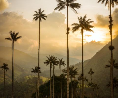 Colombia - from iStock - Lukas Bischoff