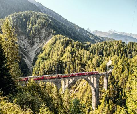 aerial view of train going over viaduct surrounded by trees and mountains