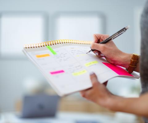 Organisation and productivity